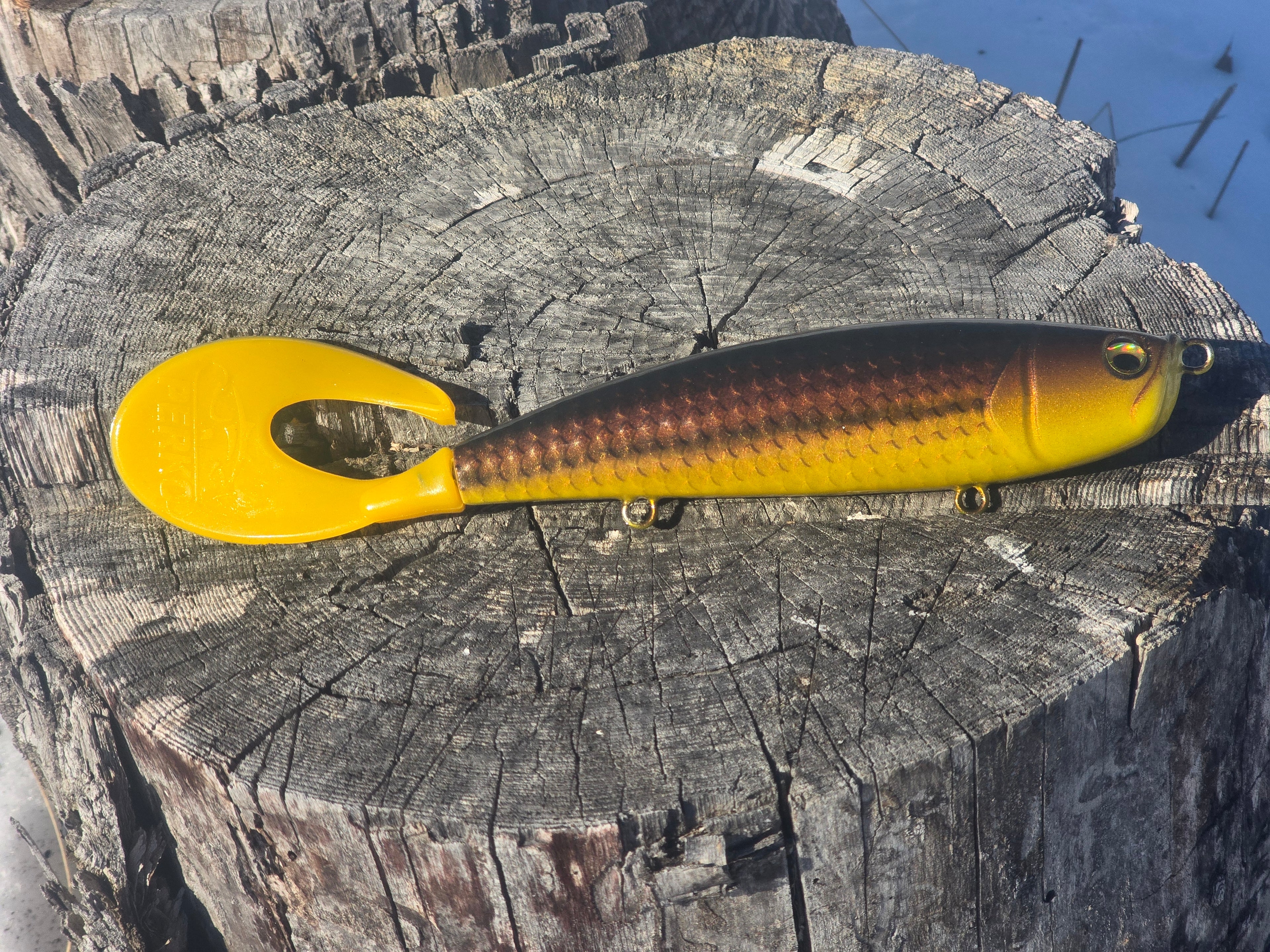 10.5 inch Prime Suspect