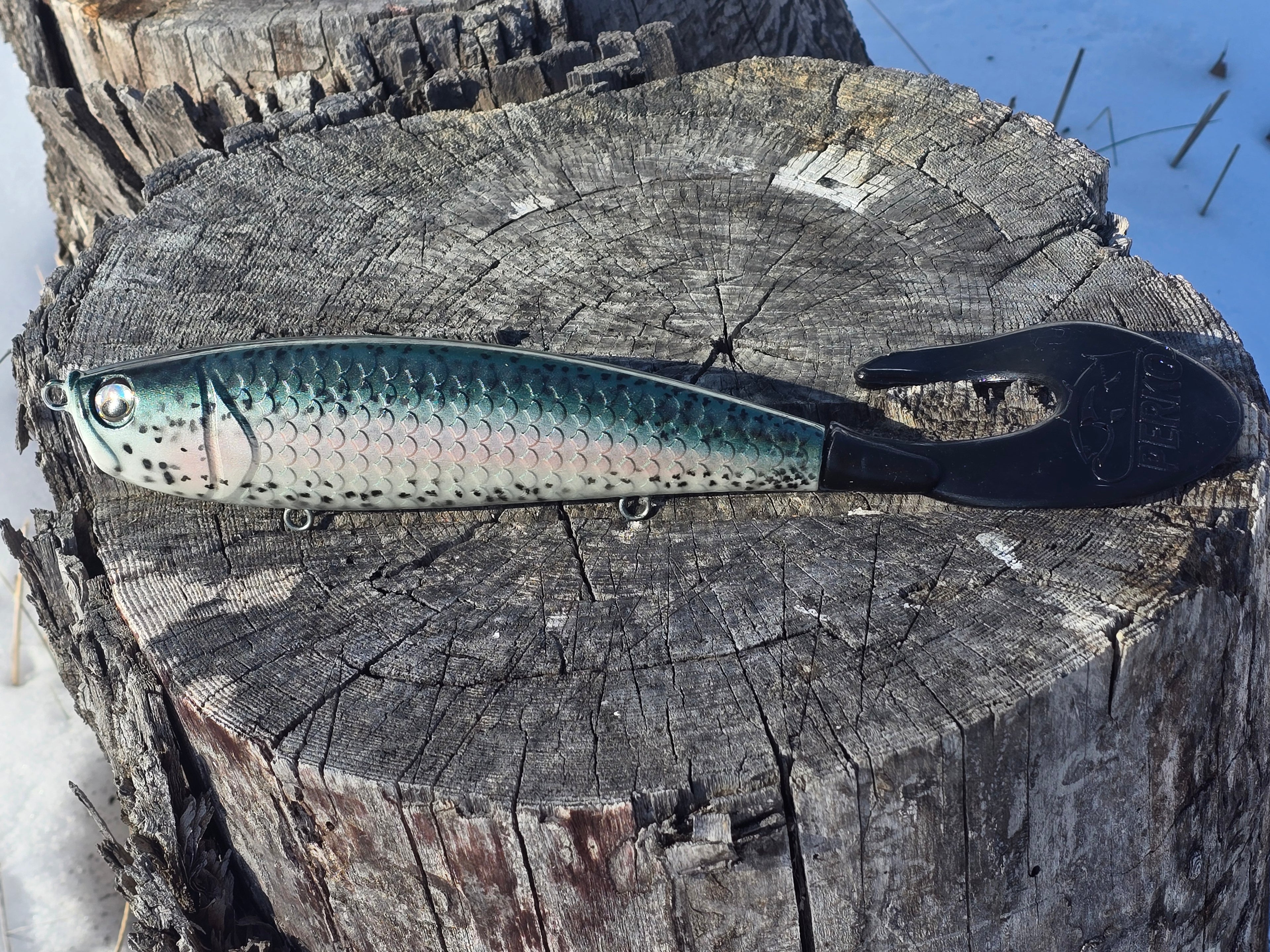 12 inch Prime Suspect